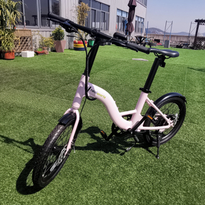 Bicicletta Elettrica Pieghevole URBAN 20 Pollici, 36V 250W, Lega di Alluminio, Motore Posteriore a 6 Velocità - Product Image 1