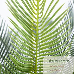 Cycas Revoluta กระถางประดิษฐ์ต้นไม้ต้นปาล์ม<span class=keywords><strong>ปลอม</strong></span>เหมือนจริงสำหรับตกแต่งบ้านสำนักงานการบำรุงรักษาต่ำ - Product Image 2