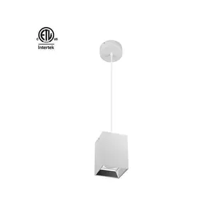 Daytonled ETL CETL Master B Round Square Series 8W 15W 20W 25W 30W 40W 50W 55W Pendant Surface North America Led Down Light