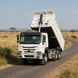 <span class=keywords><strong>Camion</strong></span> Ribaltabile HOWO 6x4 Economico ed Efficiente, con Garanzia e Supporto Post-Vendita Globale. - Product Image 1