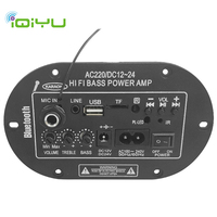 Dahili bluetooth MIC girişi ile yüksek sınıf C8 dijital güç FM radyo ev ses kullanımı için DC12V 24V AC110V 220V amplifikatör kurulu
