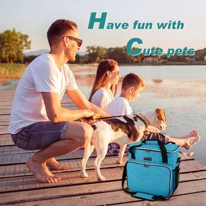 Échantillon gratuit : Sac de transport souple pour chien/grissons, idéal pour chats de 9 à 11 kg / Sac de transport souple pour animaux de compagnie pour voyage en voiture, pour chiots de 6,8 kg - Product Image 3