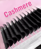 Extensions de cils individuels 0,05 mm, volume super fin, courbure mixte, pour artistes en cils