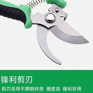 Garden Pruning Shears Stainless Steel Bird Beak Design Fruit Picker Manual Pruner For Horticultural <b>Branch</b> Cutting - Product Image 4