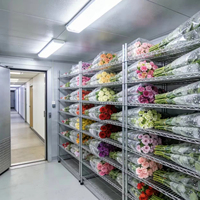 Cámara Frigorífica para Floristería, Refrigerador para Flores, Congelador para Flores