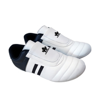 2024 Nouveau Style Blanc Couleur Arts Martiaux Taekwondo Chaussures