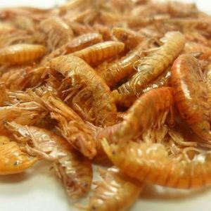 Comida para mascotas <span class=keywords><strong>Gammarus</strong></span> secado al sol para reptiles comida Comida para peces - Product Image 6