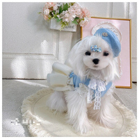 Jupe et Manteau Chauds en Polyester Écologique pour Petits Chiens – Modèle Couple Adorable – Printemps/Hiver