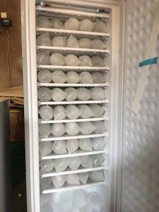 198L AC/DC Hybrid 24V/220V Upright Freezer 11layers/7 <strong>Layers</strong> Commercial Solar Panel Gel Battery Powered Solar Ice Block <strong>Machine</strong> - Product Image 3