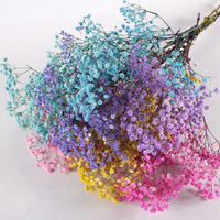 Fleurs séchées naturelles, gypsophile fraîche, bouquets de fleurs séchées, souffle de bébé, cadeau pour la décoration de mariage, décoration de la maison