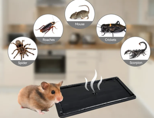 Tablero de trampa de pegamento para ratas de ratón con pegamento de fusión en caliente para capturar para hacer máquinas de la categoría de productos de adhesivos y selladores - Product Image 5