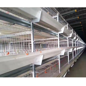 Nimal oulouly 4 Tier roroiler uutomatic atterapanone aputomatico ollaio er 2000 Galline - Product Image 5