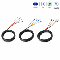 Rangkaian Kabel Industri Multi Inti Kustom dengan Terminal Crimp untuk Peralatan Otomasi PLC