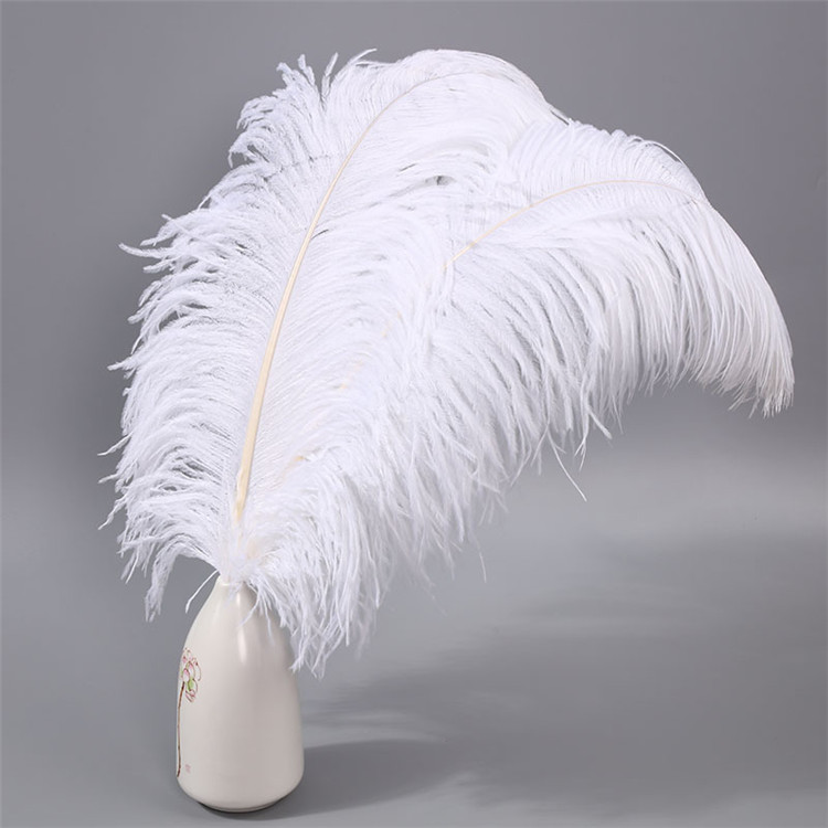 E-011 брендовые товары по оптовым ценам, качество декоративные крупные Страусиные белого цвета с изображением розовых перьев для декоративного