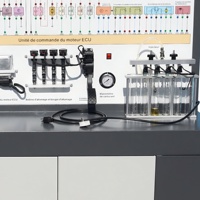 Banco de entrenamiento metálico para sistemas de inyección de combustible de gasolina automotriz, con ECU, encendido eléctrico DIS y diagnóstico EOBD, para uso profesional.