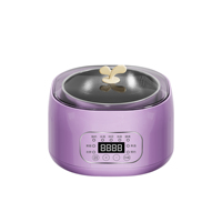 Yaourtière multifonctionnelle domestique 220V 16W avec cuve en acier inoxydable, fermentateur 9-en-1, contrôle de température et minuterie, pour yaourt maison DIY, OEM