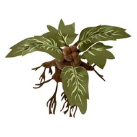 Peluche Mandrake Grass de 26 cm, super douce, anti-stress, décoration d'intérieur, cadeau d'anniversaire pour enfants, PP