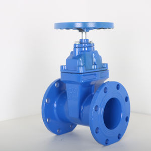 Válvulas de Compuerta Industriales de Hierro Fundido de Venta Caliente, 2, 4 y 6 Pulgadas, con Cuña Resiliente, Sellado Suave y Vástago No Ascendente - Product Image 2