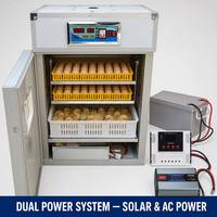 Incubateur automatique solaire personnalisé pour 176 œufs, fabriqué sur mesure