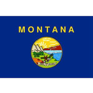 Недорогой 100% полиэстер большой 3*5 футов флаг страны Миссисипи с двумя Люверсами - Product Image 3