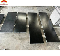 Dalles de granit noir de Shanxi (Chine) en pierre naturelle moderne, finition polie, épaisseur 18 mm, grand format, pour villa