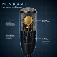 Microphone à condensateur à large diaphragme professionnel XUNGUAN P220 pour enregistrement vocal en studio, instruments et applications scéniques