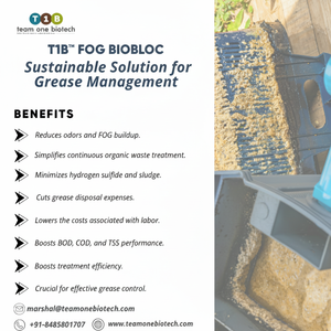 Bloc bio en plastique pour piège à graisse de cuisine professionnelle, pour la sécurité des eaux usées - Product Image 1