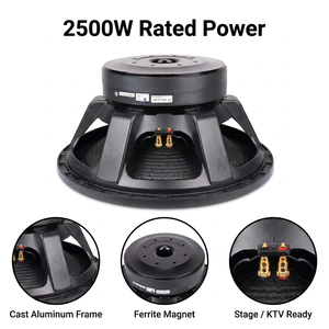 Subwoofer Professionale da 21 Pollici 2500W RMS Passivo in Metallo per PA, Bobina Vocale da 150mm, Doppio Magnete da 300mm, per Stadi, Concerti e Palcoscenici - Product Image 2