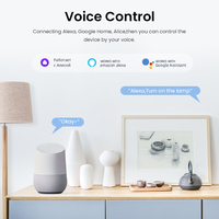 Prise Intelligente Wi-Fi RSH EU 16A, Télécommande sans Fil, Compatible Alexa Google Tuya, avec Surveillance d'Énergie et Fonction de Minuterie