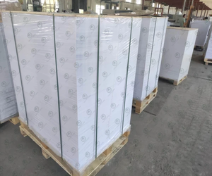 Papel Bíblico de 30 g/m², Alta Opacidad, Impresión Delgada para Diccionarios, Biblias y Hymnarios - Product Image 4