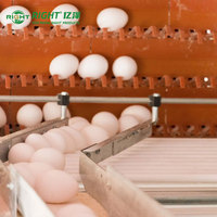 Collecteur d'œufs automatique en acier au carbone durable pour élevage de poulets commercial
