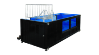 Piscine conteneurisée Suihe 20 pieds 40 pieds, haute qualité, prix usine, piscine conteneurisée sur mesure