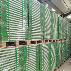 Papel Base NCR de 57 g/m²/65 g/m² con Revestimiento de Resina por Ambos Lados, Hecho en China - Product Image 5