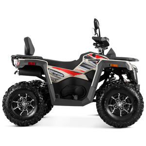 Tao Motor 2026 Nouveau <span class=keywords><strong>Quad</strong></span> Tout-Terrain Automatique 250cc avec Marche Arrière, Transmission par Chaîne 4x2, pour Adultes, Vente en Gros Chinois, Certifié EPA CE - Product Image 3