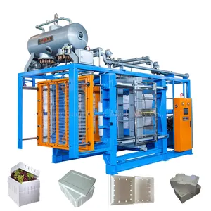 Automatische EPS-Maschine erweiterbare Polystyrol-Produktionslinie für EPS-Verpackungsschaum Fischkasten Polystyrol-Schale