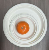 Lot de Plats Jetables Biodégradables Anti-fuite en Bagasse pour Plats à Emporter, Barquettes Déjeuner, Emballages à Emporter, Kits de Fournitures pour Fêtes - Vente en Gros