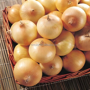 Bán Buôn Trung Quốc Tươi Màu Đỏ Hành Tây Chất Lượng Cao Màu Đỏ Hành Tây Tươi - Product Image 3