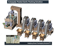 Machine de remplissage et d'emballage industrielle de chips de pomme de terre Pringles pour chips de pomme de terre