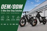 20Ah 48V 1000W dan 1000W Sepeda Listrik Brushless Kecepatan Tinggi Retro Murah Sepeda Listrik Cepat