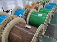 Optik fiber kablo için G652D G657A1 A2 900um gevşek tüp cst fiber
