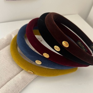 Nueva Diadema de Terciopelo Estrecha para Otoño/Invierno con Etiqueta Dorada, Aro para el Cabello de Tela Suave con Esponja, Accesorios para el Cabello de Lujo Versátiles para Uso Diario - Product Image 1