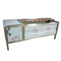 Légumes racines 500-1000kg/heure éplucheur de lavage de patates douces 304 acier inoxydable carotte gingembre lavage équipement d'épluchage
