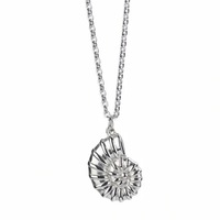 Collier Pendentif Coquillage Unisexe Minimaliste et Élégant, Chaîne de Clavicule Chic en Acier Inoxydable, Accessoire Tendance