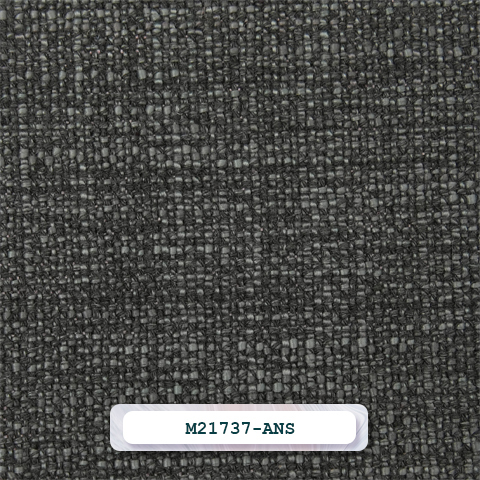 M21737-ANS