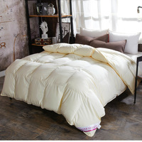 Vente chaude quatre saisons épaissi automne hiver couette confortable coton plume soie velours canard couette-hôtel cadeau-vente en gros