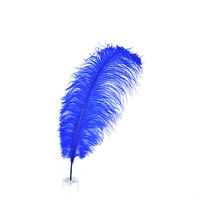 50-55cm Royal Plumes D'autruche Drabs Décoration Pour Costumes De Carnaval Décoration De Table Teint Couleur Plumes D'autruche Pour Le Mariage