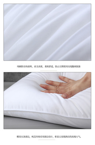 Fournisseurs chinois Fabrication en gros Oreiller Hilton Oreiller Hilton 1000g <span class=keywords><strong>50x70</strong></span> Oreiller avec bordure pour hôtel - Product Image 6