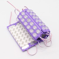 12 pièces Module LED SMD3030 Module LED 12V 24V 6W extérieur IP65 Module LED lumière pour la publicité et le rétro-éclairage
