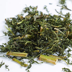 Vente en gros de <span class=keywords><strong>tisane</strong></span> séchée naturellement de haute qualité en vrac <span class=keywords><strong>Artemisia</strong></span> Carvifolia <span class=keywords><strong>tisane</strong></span> - Product Image 2