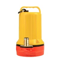 Pompe d'irrigation DC alimentée par batterie, pompe submersible solaire 12V 24V 48V pour piscine, étang, jardin et cave inondée